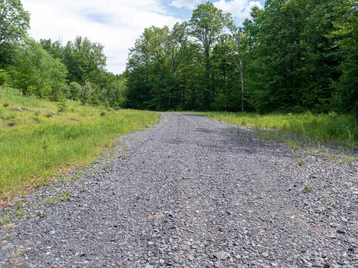 Woody's Road photo 3