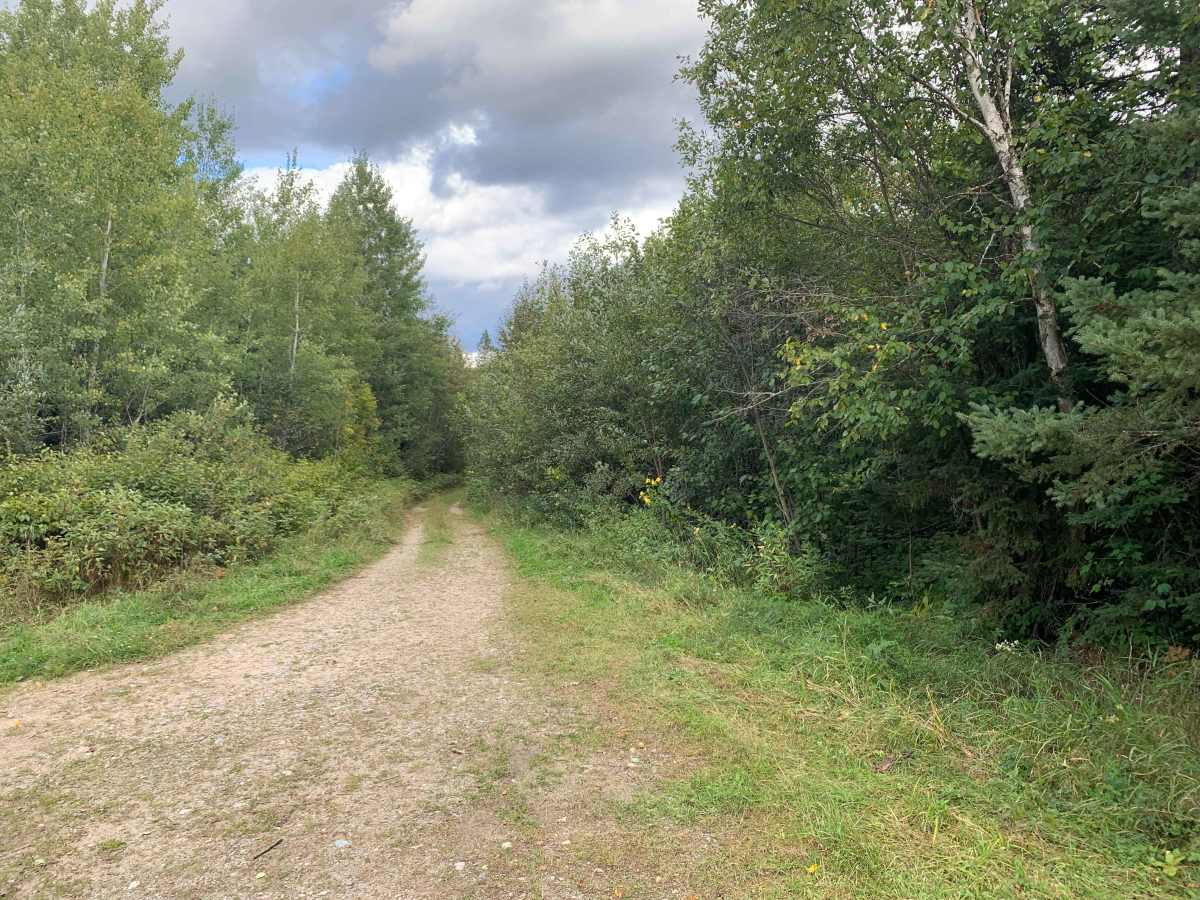 FS 606 trail photo
