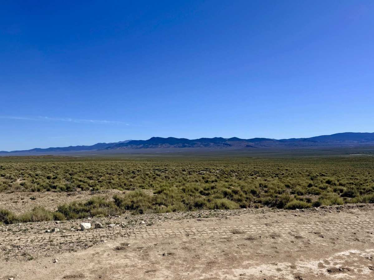  Potts Ranch Road  photo 6