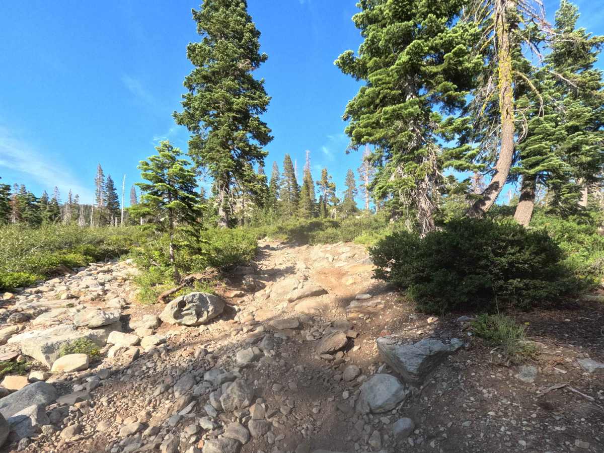 Snake Lake Trail - FS 12E67  photo 5
