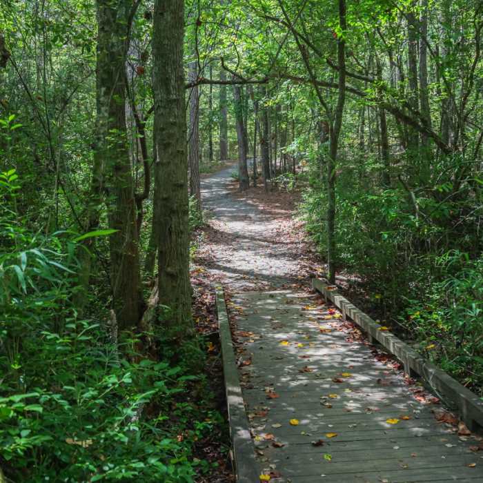 Near Sandhills Hiking Trail Near Sandhills Hiking Trail