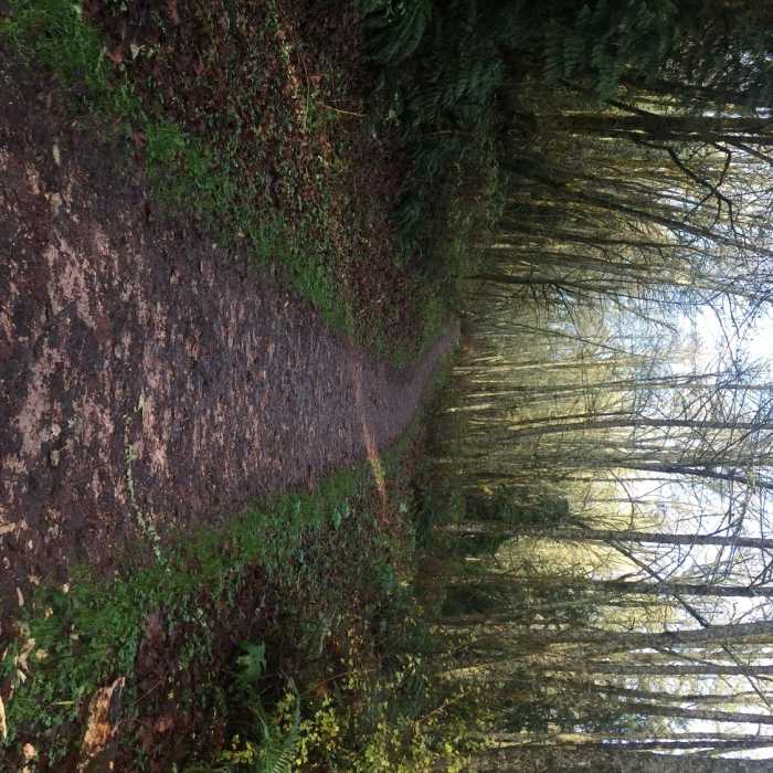 Near Belvedere to Talus Round-Trip