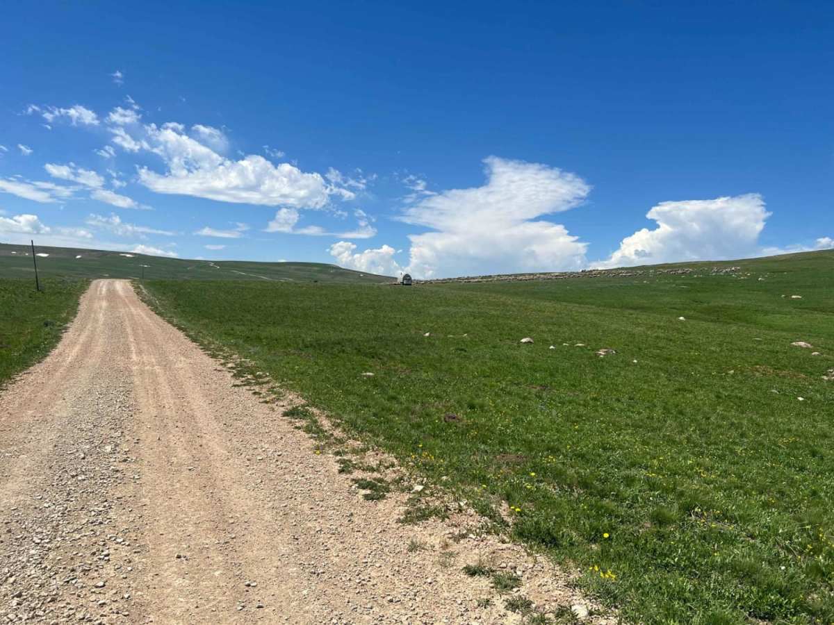 Gravelly Range South (FS290) photo 3