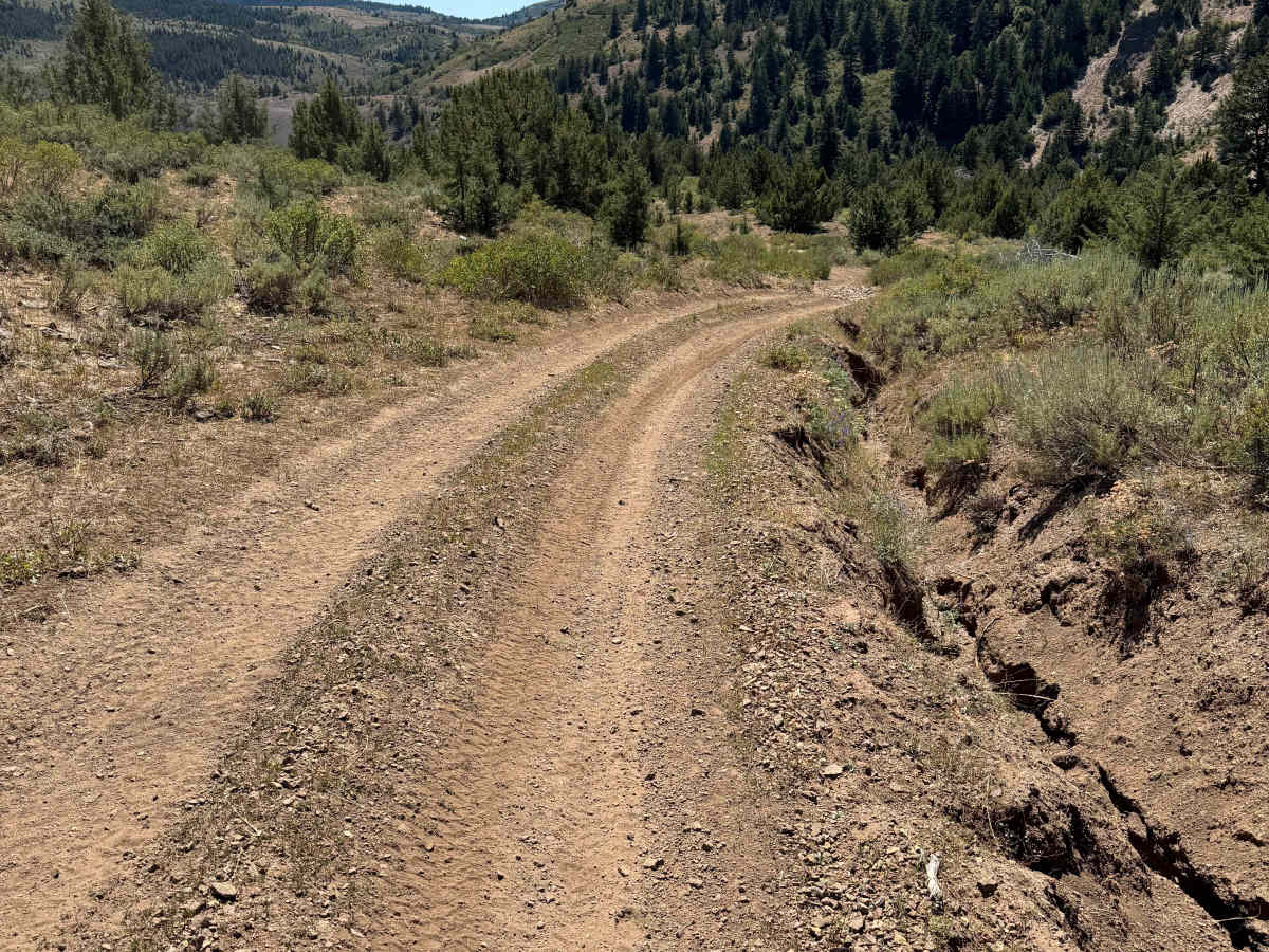 Cattle Crossover  trail photo