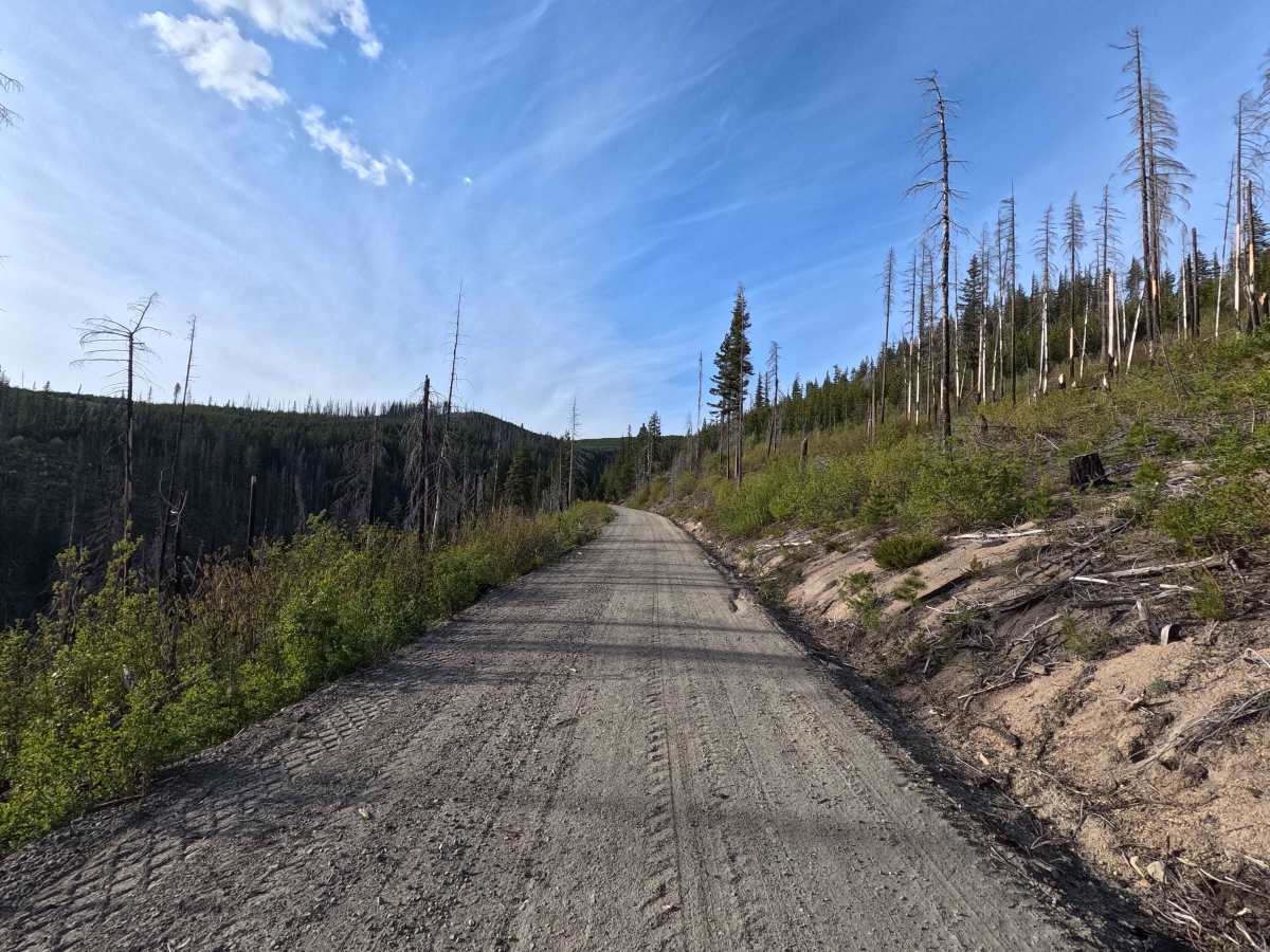 Tyee Ridge Road - FS 57 photo 2