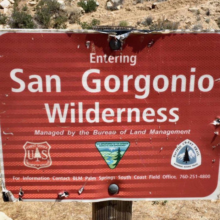 Near Pacific Crest Trail: California Section C