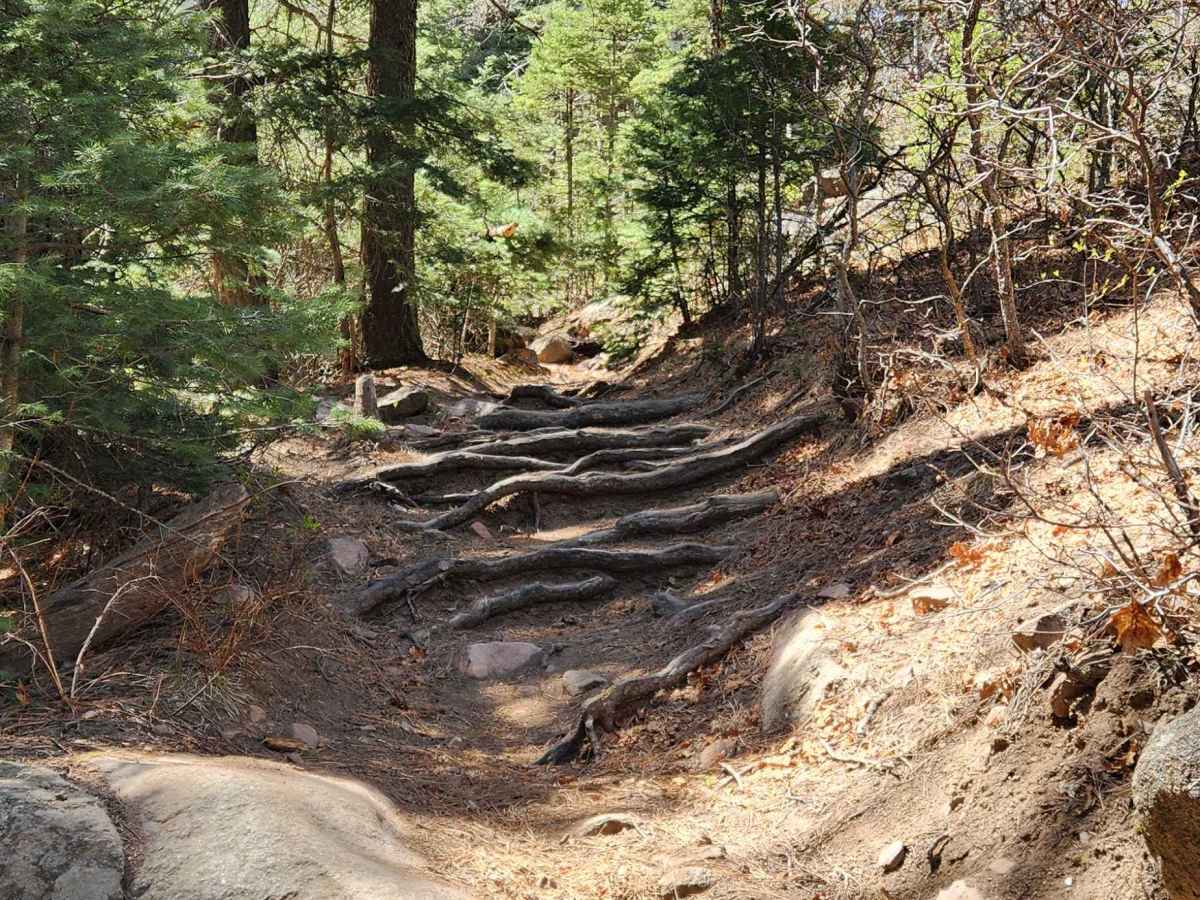 East Bear Trail photo 2