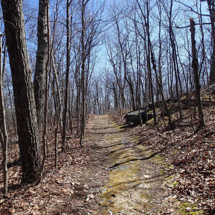 Iris Trail Near Appalachian - Iris Trail Loop