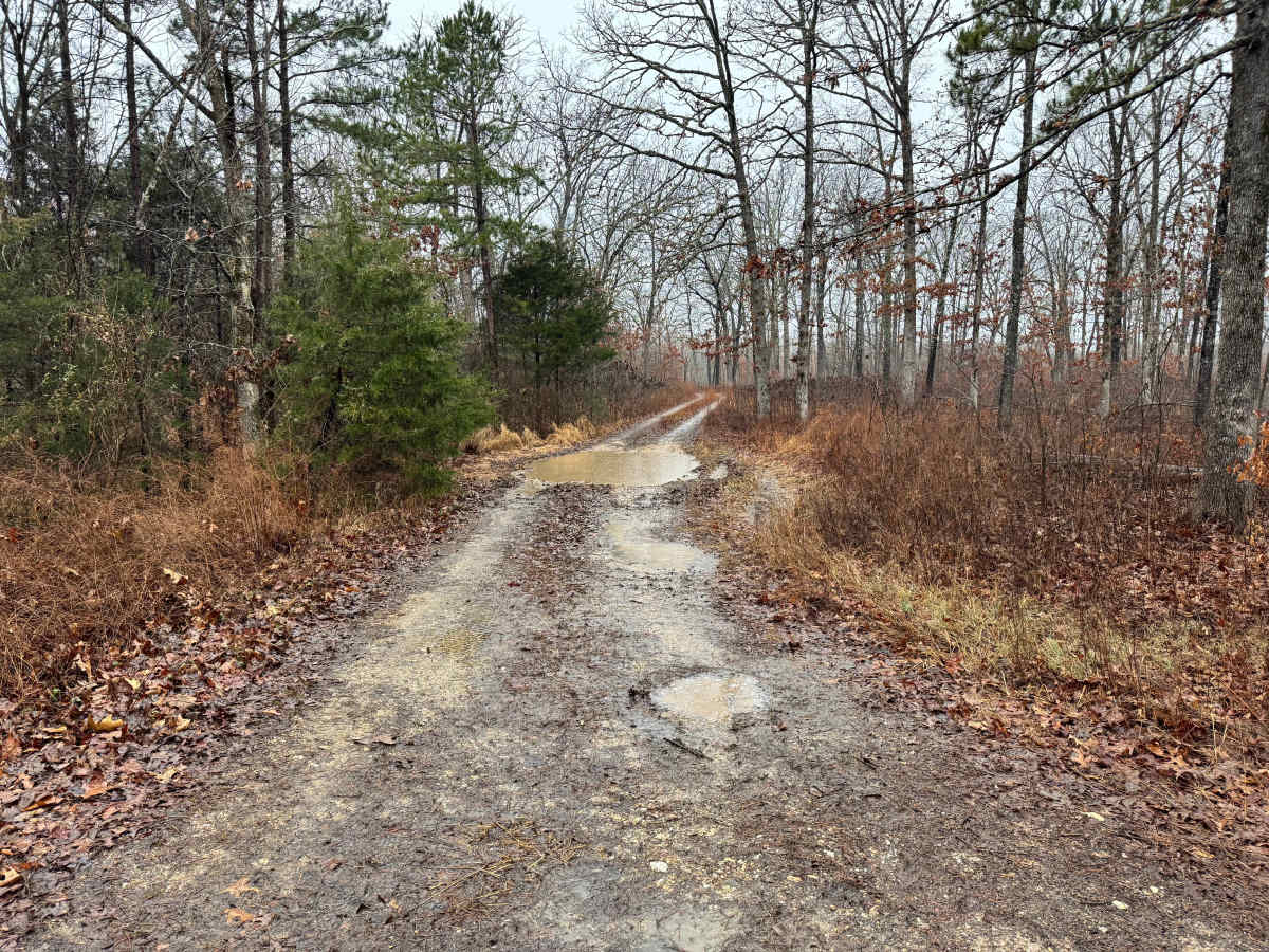 FS 1733 trail photo