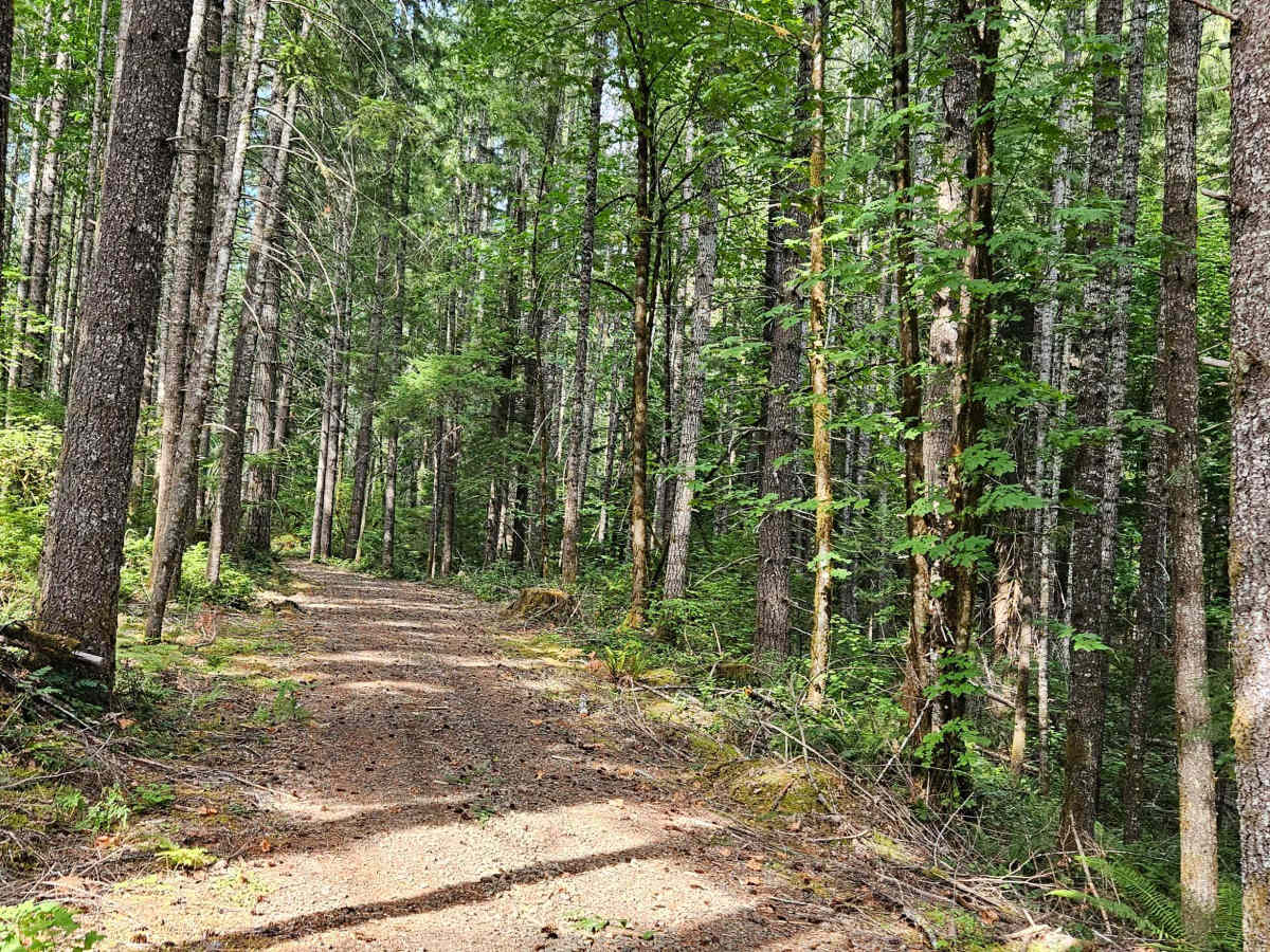 FS 1900447 trail photo
