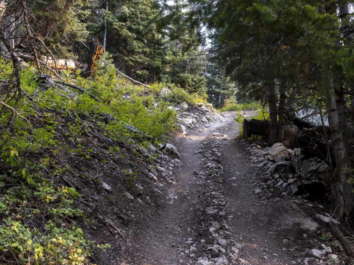 Bull Valley Trail photo 5