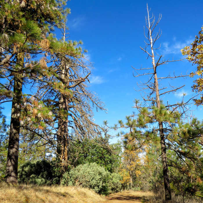 Near Mount Sizer via "The Shortcut"