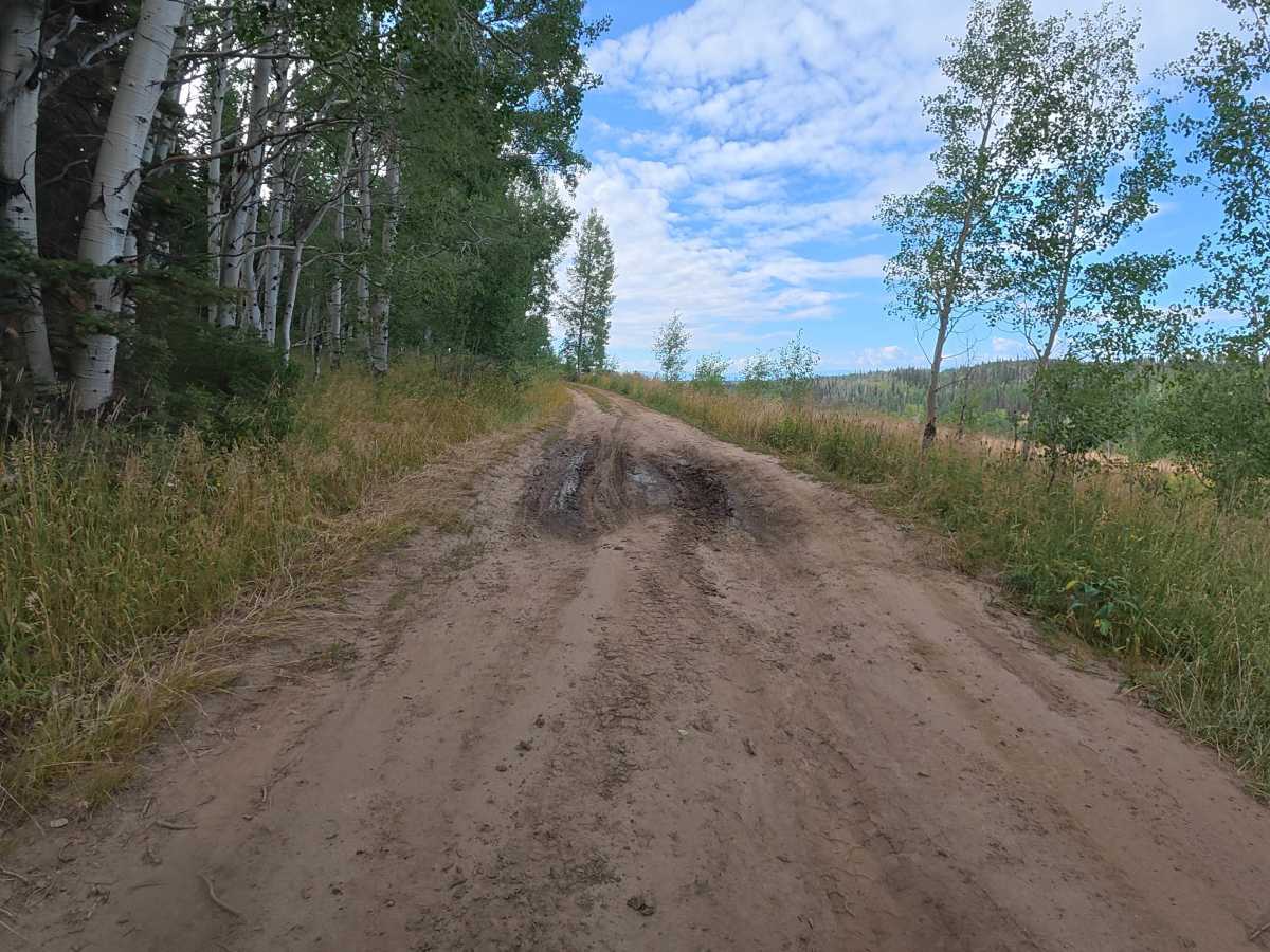 Joe Mule Park - FS 245 photo 4