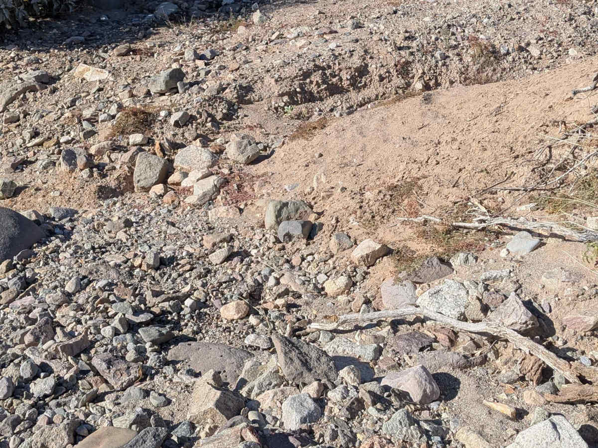 BLM 636 Cut Off trail photo