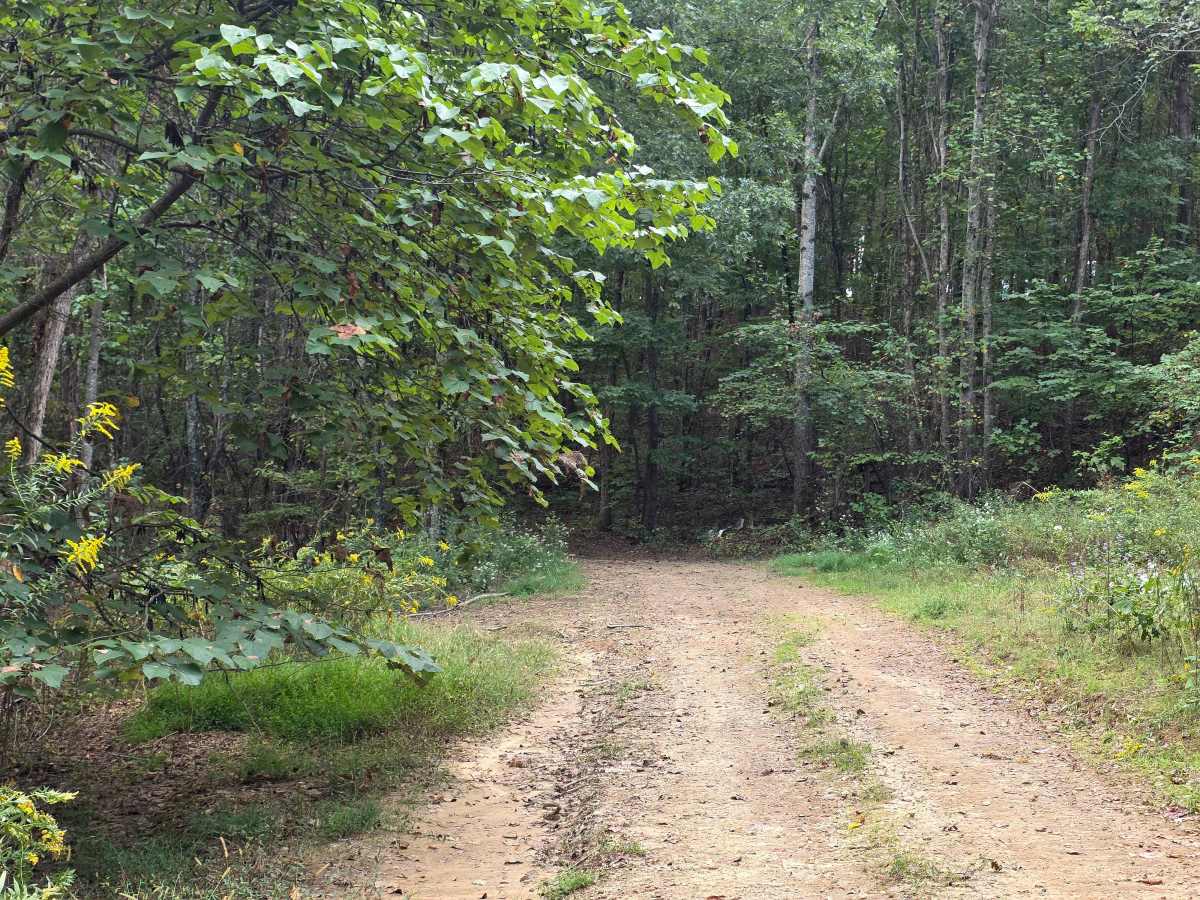 250 Acre Trail photo 2