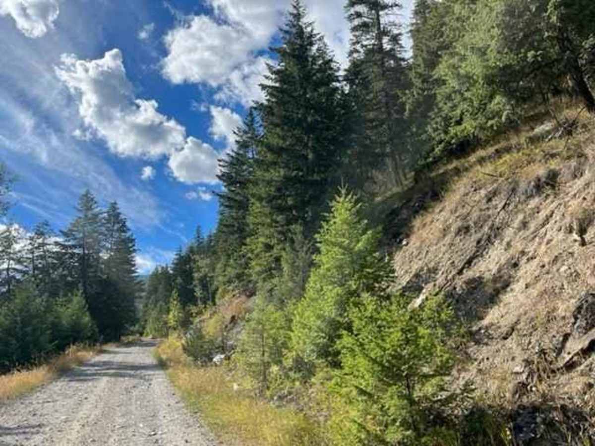 Johnson Lake Road photo 2