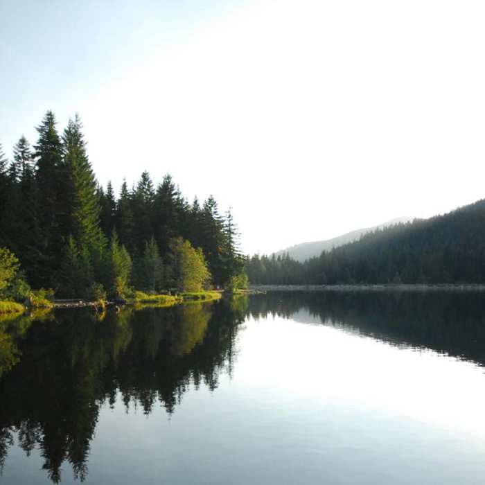 Near Trillium Lake Loop Trail #761