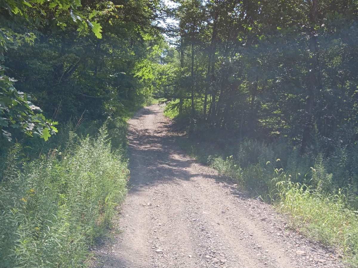 Big Buck Hill - Rock Run Recreation Area photo 5