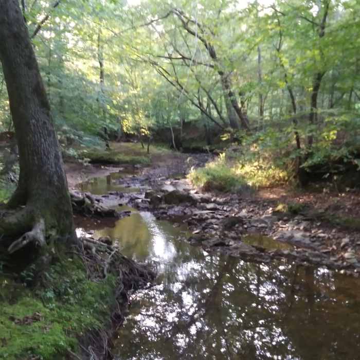 Near Eno Quarry Trail