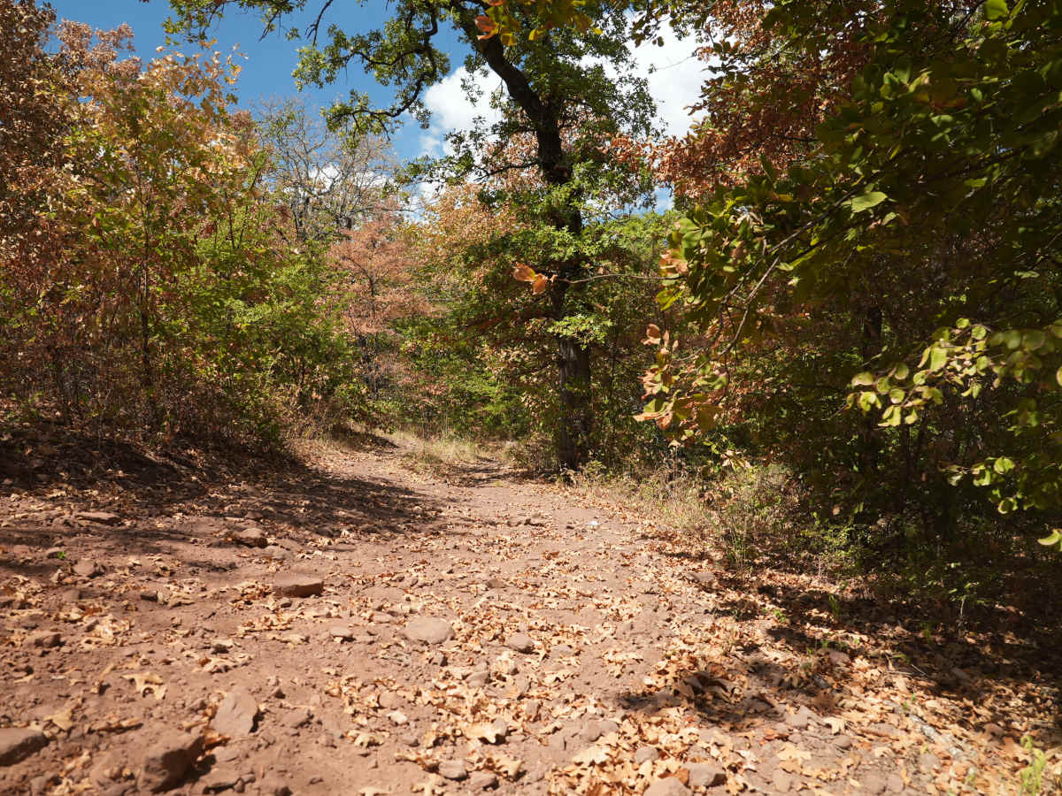 Black 30 trail photo