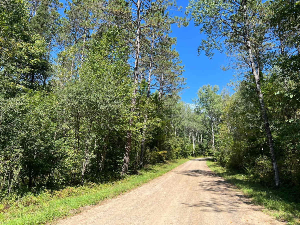 Goose Creek Road - FS 2367 photo 4