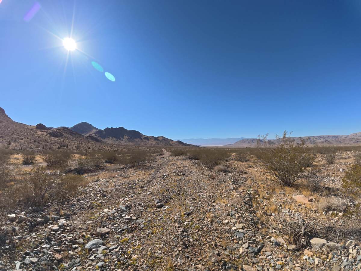BLM 6604 photo 5