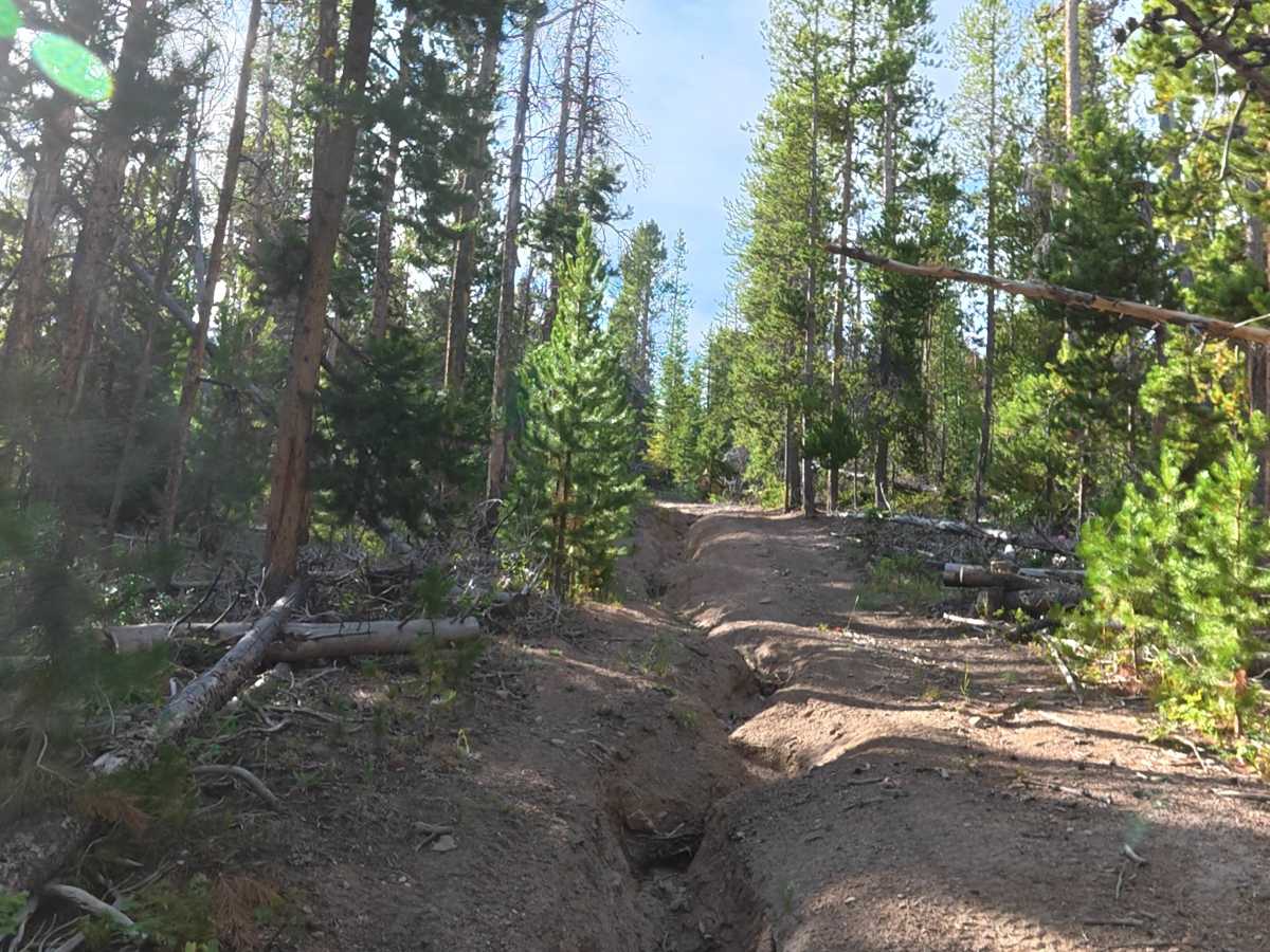 FS 200C trail photo