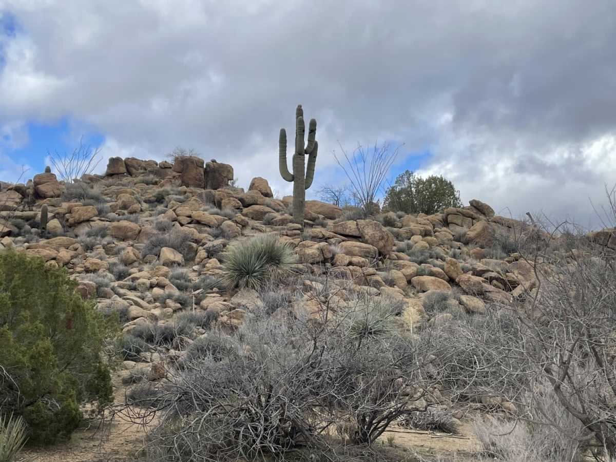 Burro Creek West photo 2