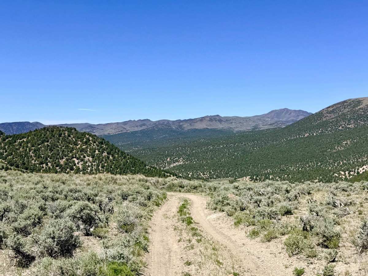  Brock Canyon - FS 43292 trail photo