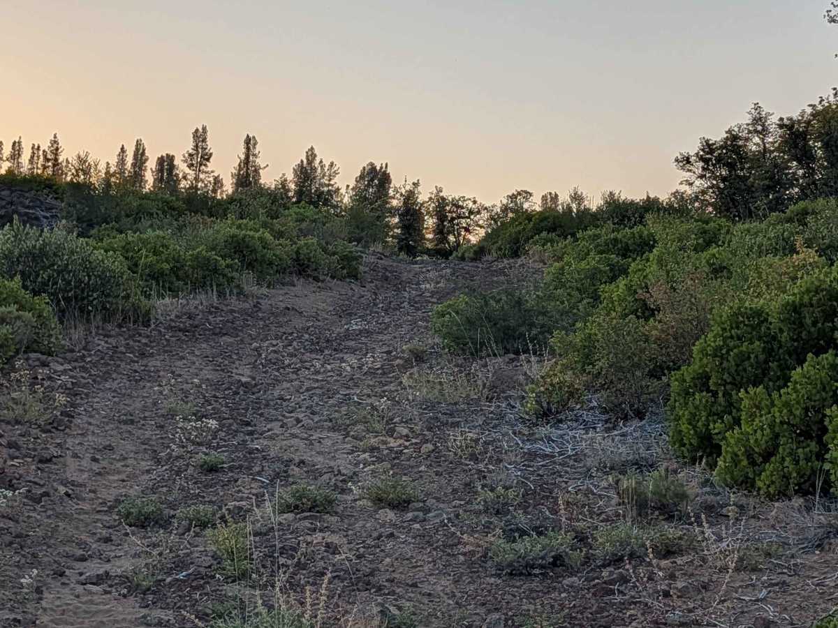 Stud Hill South - FS 42N26 photo 3