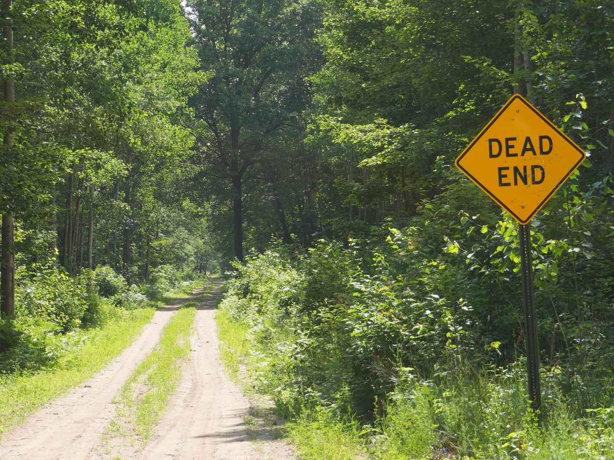 Secord Dam Road trail photo