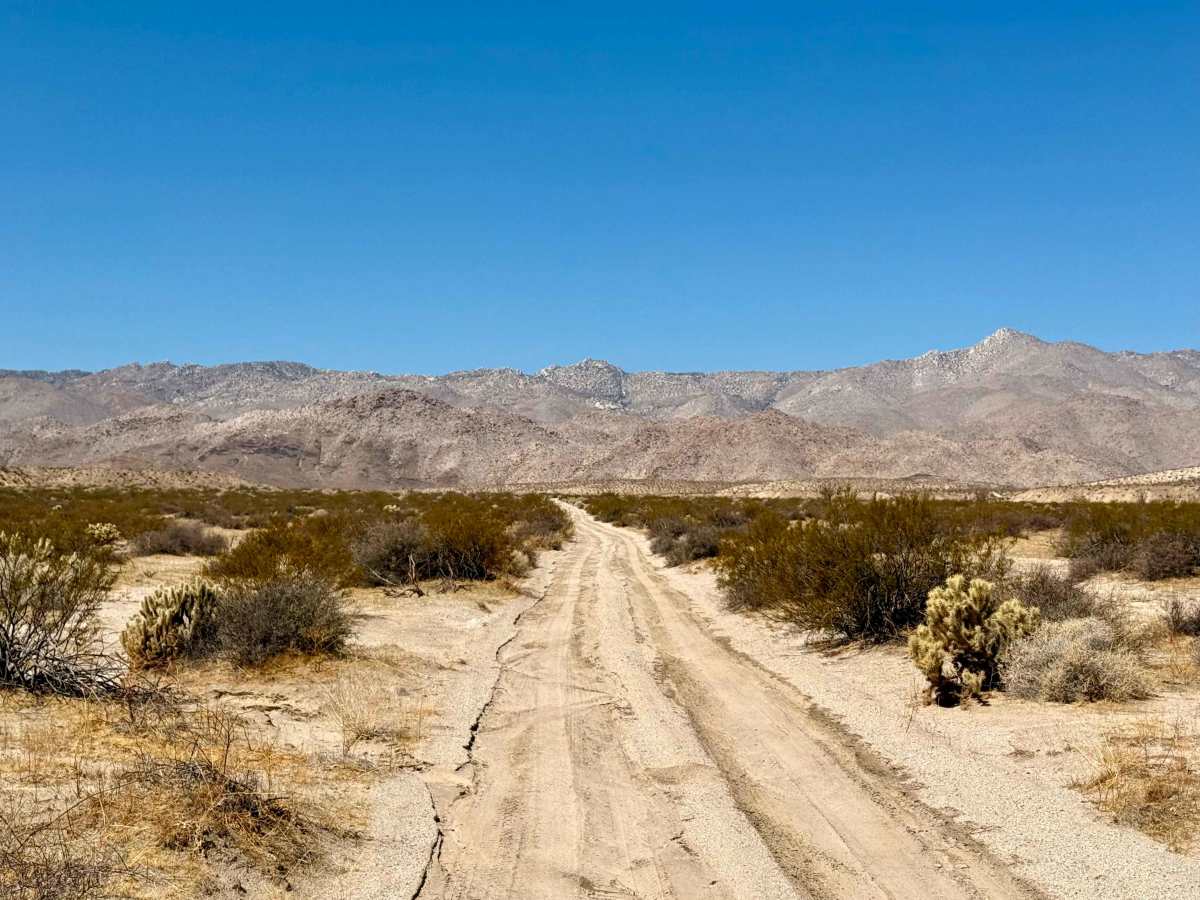 South Carrizo Creek photo 2