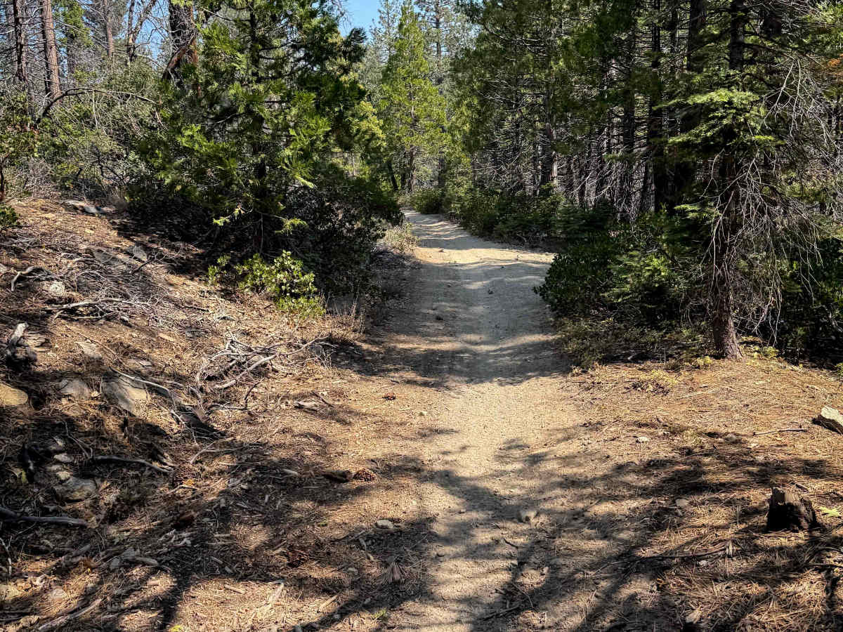 23E354 photo 4