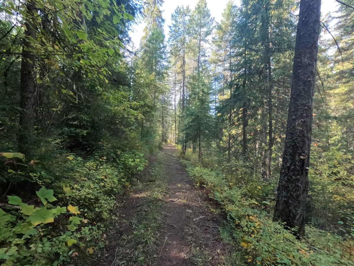 Winslow Camp Road photo 6
