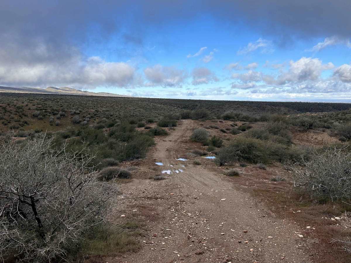 BM Bush Run trail photo