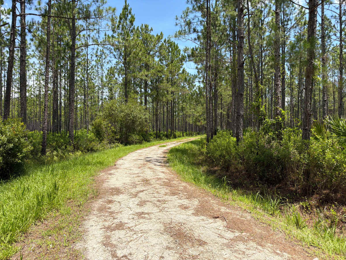 Mary Farms Road photo 3