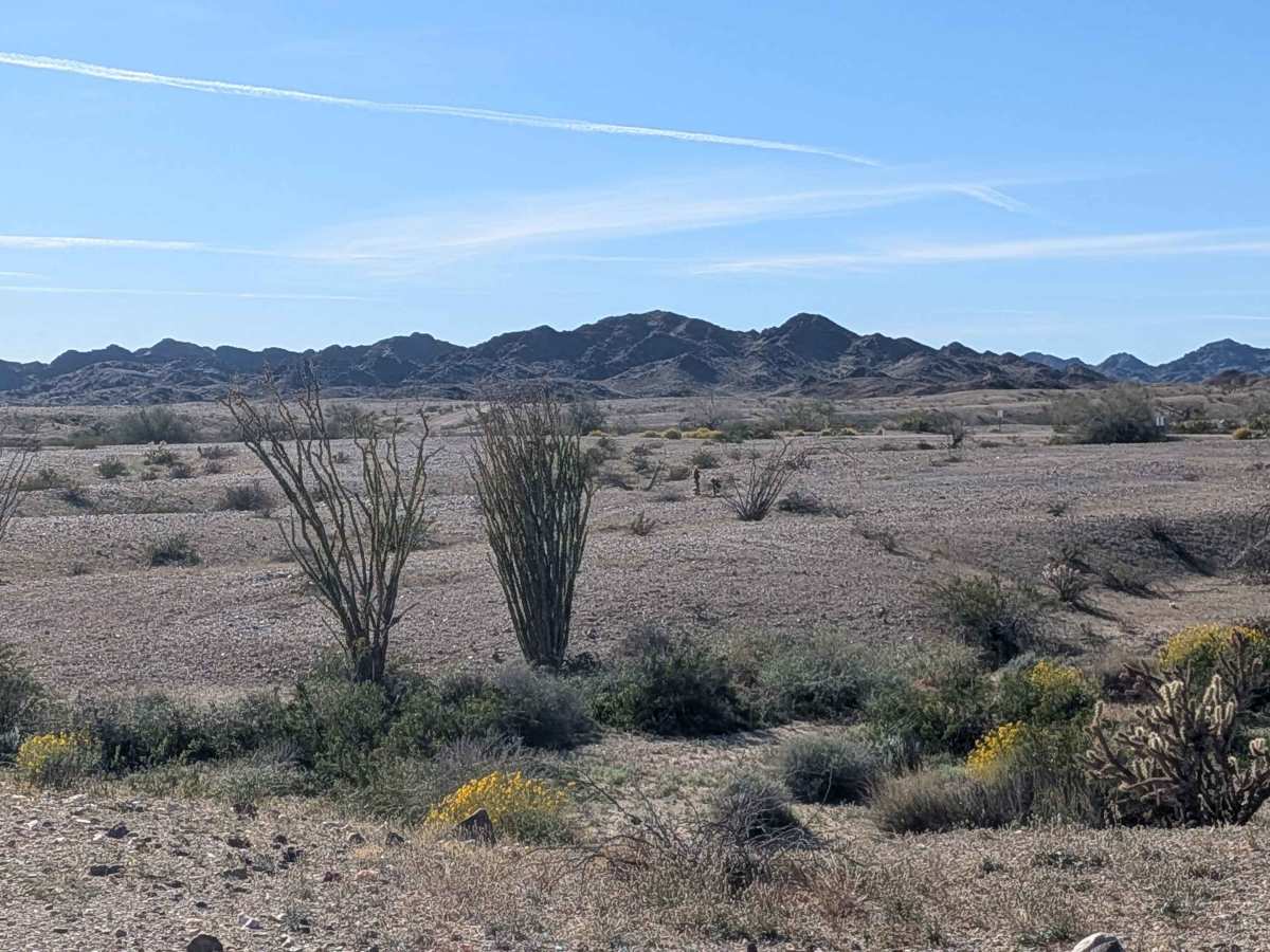 BLM 935 photo 2