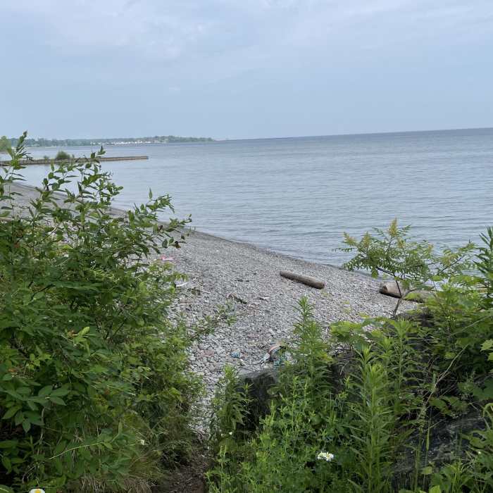 Near Lakeshore / Woodland Loop