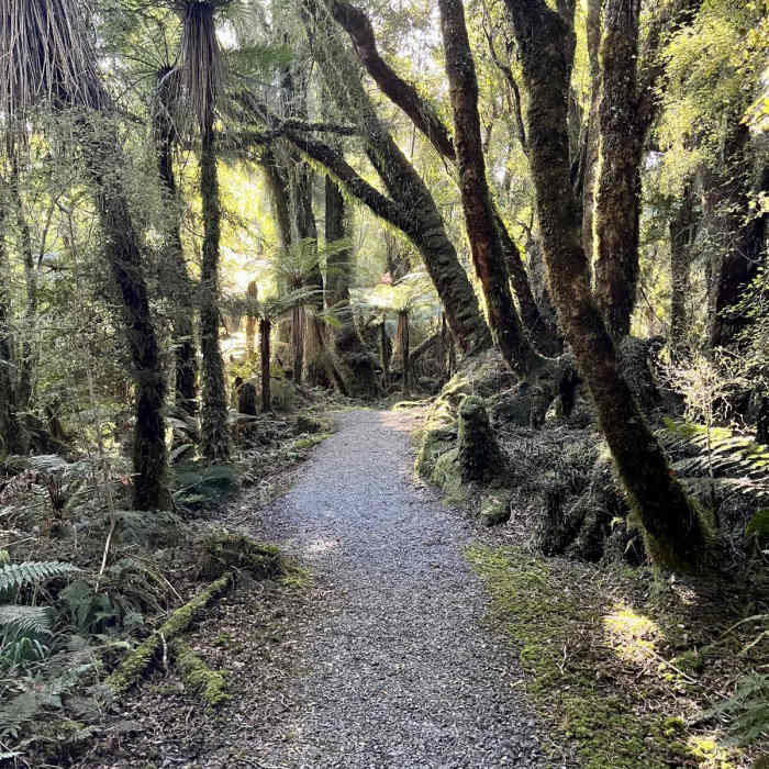 Near Monro Beach Walk Near Monro Beach Walk