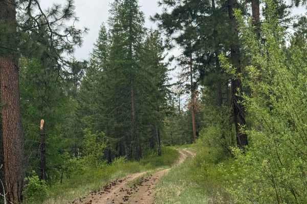 Hart Creek Ridge - FS 2000-325
