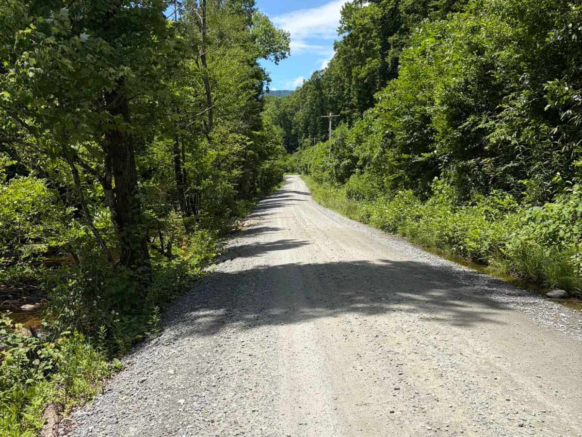 Davidson River Road - FS 475 photo 3