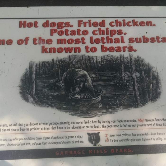 Watch out for bears! Near Metcalf Bottoms Trail