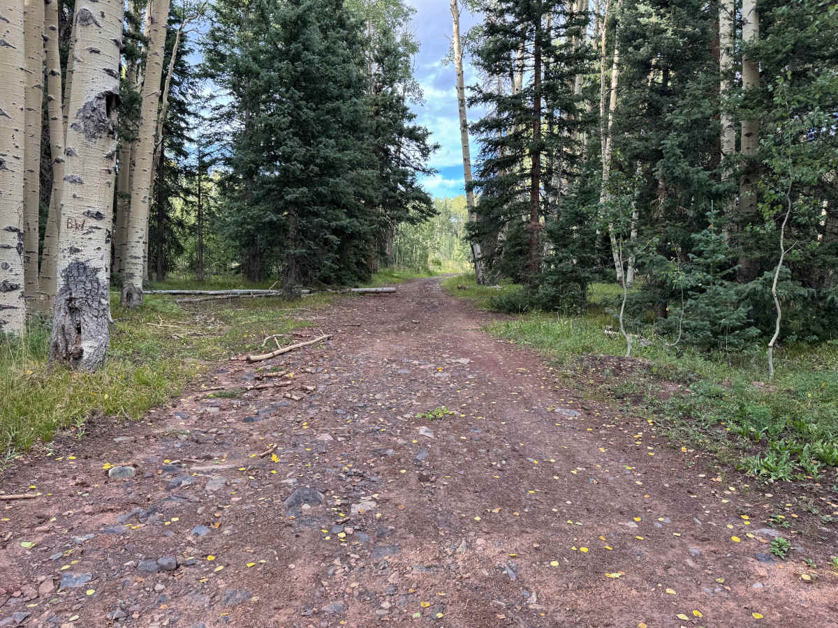 Divide A Road photo 5
