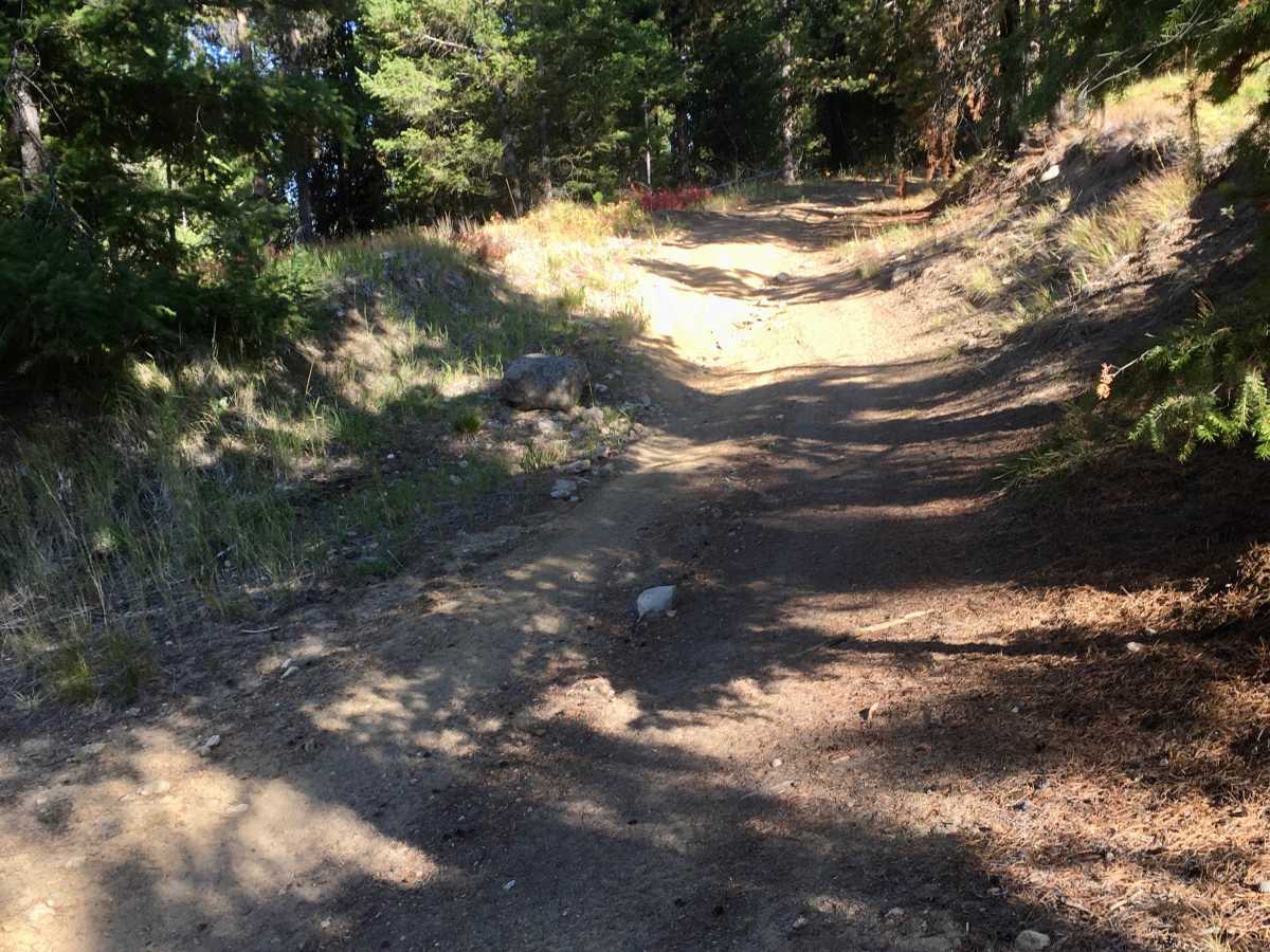 Reynolds - Lick ATV photo 4