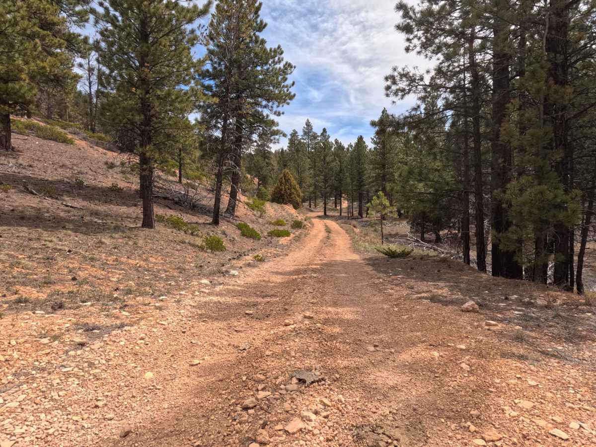 Ingram Hollow - FS 31129 photo 4