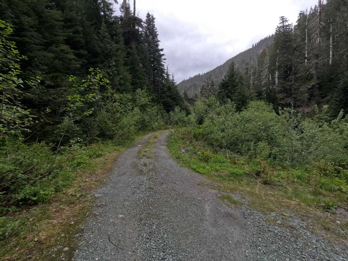 Hawkins Lake - FS 1840 trail photo