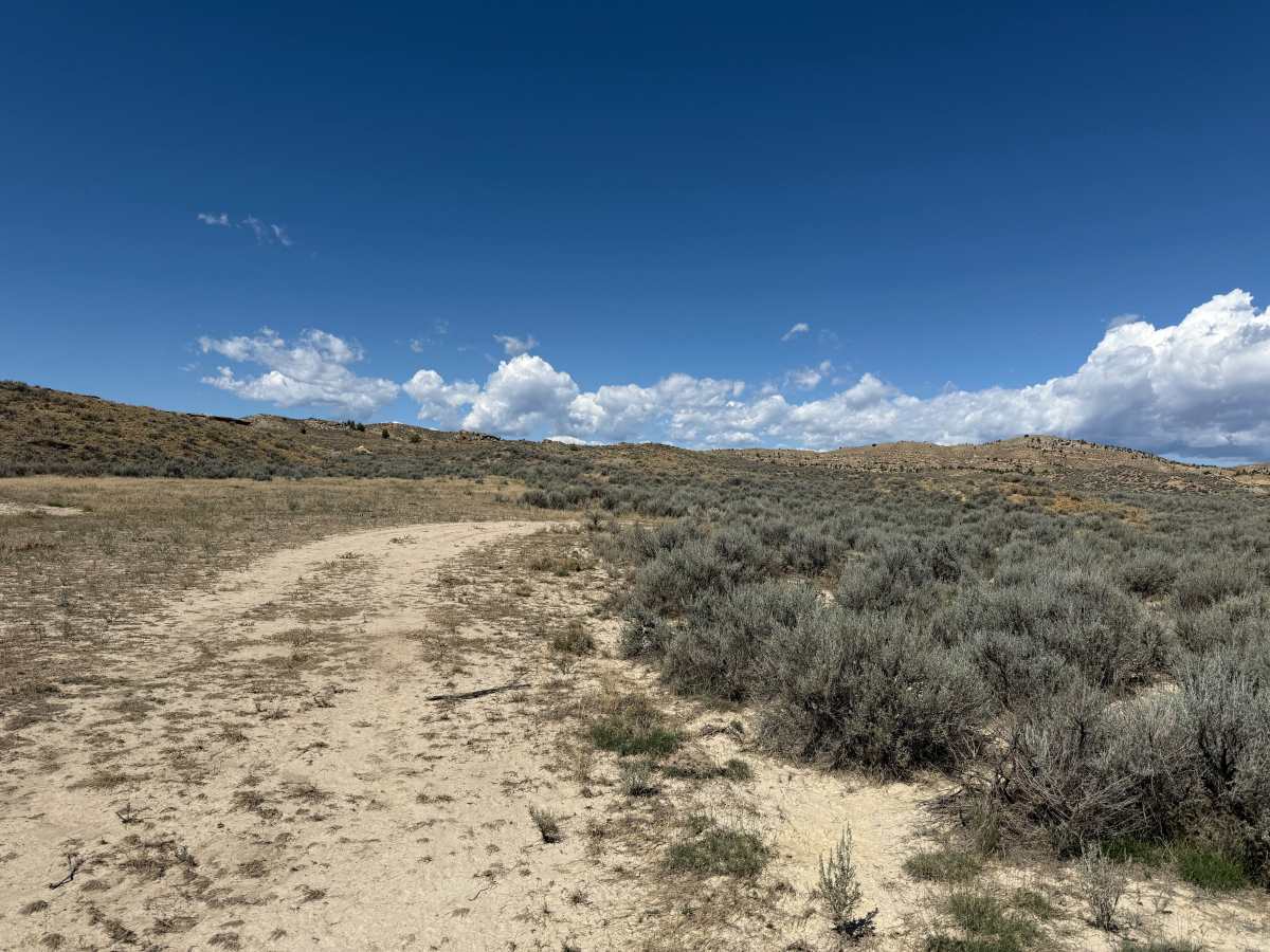 Picnic Area Trail photo 4