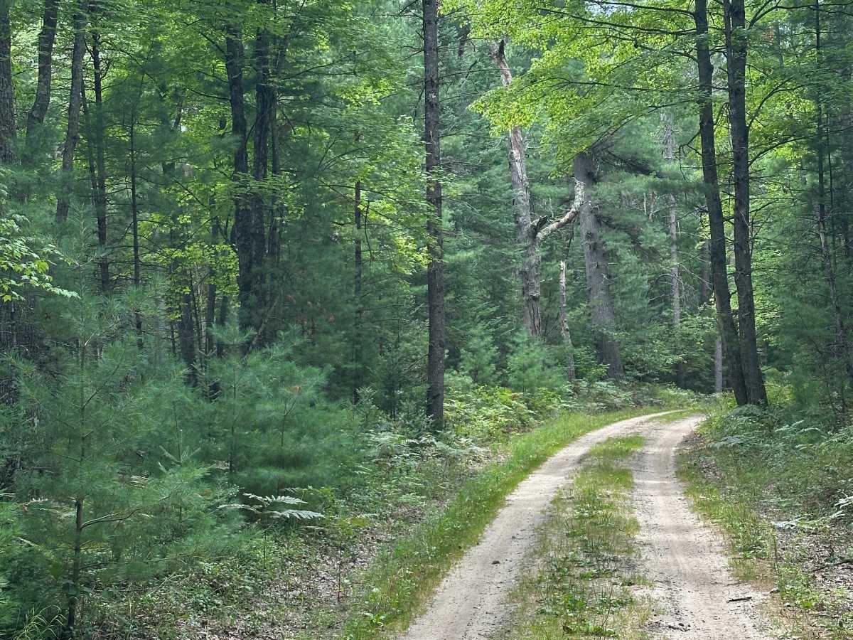 Paddle Trail photo 3