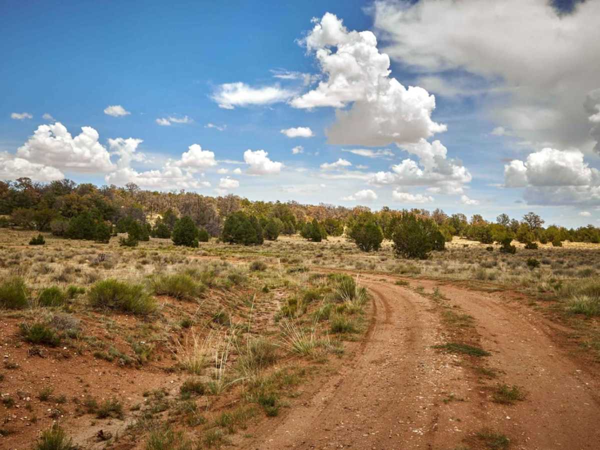 FR 2743 trail photo