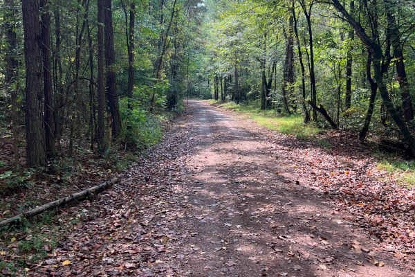 Shaw Branch Road